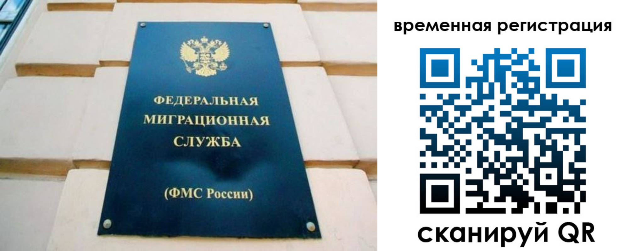 прописка гарантия в Ермолино
